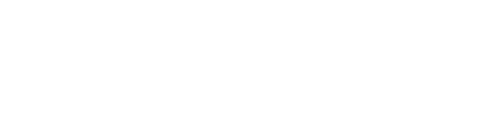 Logo-Ingeris-Formation-blanc.png